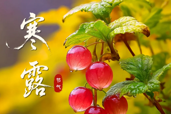 寒露贴膘正当时!小江溪江西小炒：鲜辣开胃不油腻